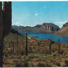 Arizona Postcard Canyon Lake Apache Trail Cactus
