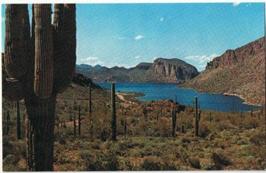 Arizona Postcard Canyon Lake Apache Trail Cactus