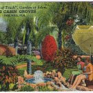 Florida Postcard Oak Hill Log Cabin Groves Fountain Of Truth Garden In Eden