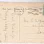 Greeting Postcard Birthday Roses 1911 Germany