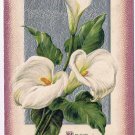 Easter Postcard Embossed Lilies Best Easter Wishes 1913