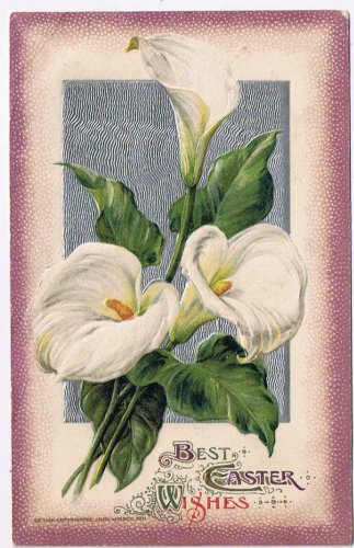Easter Postcard Embossed Lilies Best Easter Wishes 1913