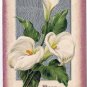 Easter Postcard Embossed Lilies Best Easter Wishes 1913