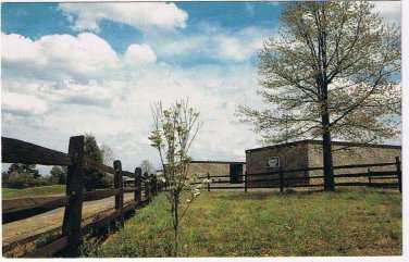 Scenic Postcard Poke About Gold Exchange