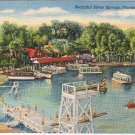 Pennsylvania Postcard Silver Springs Swimming Lifeguard Station