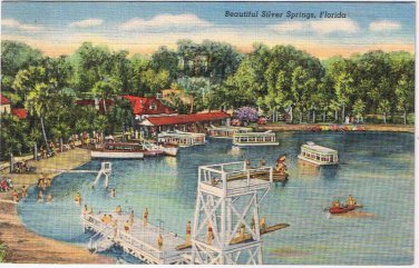 Pennsylvania Postcard Silver Springs Swimming Lifeguard Station