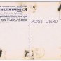Pennsylvania Postcard Silver Springs Swimming Lifeguard Station