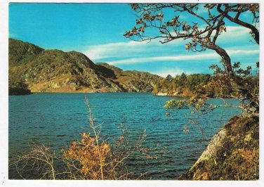 Scotland UK Postcard Loch Katrine between Trossachs & Glen Gyle