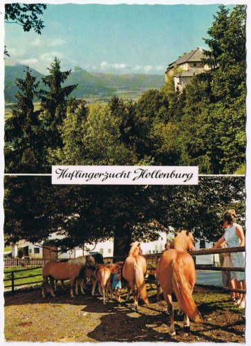 Austria Postcard Karnten Hollenburg met Blick in das Rosental
