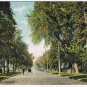 Ontario Postcard Toronto Jarvis Street Buggy