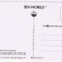 California Postcard San Diego High Flying Shamu Sea World