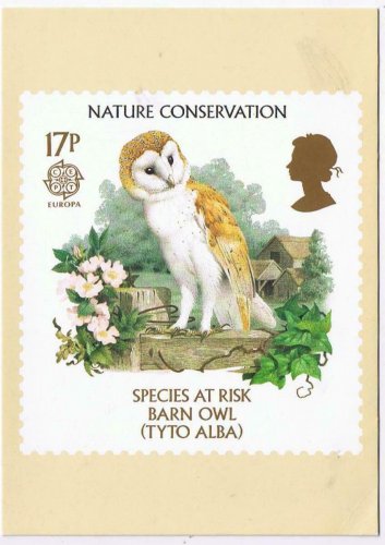 United Kingdom Postcard Stamps Nature Species At Risk 1986 17p Barn Owl