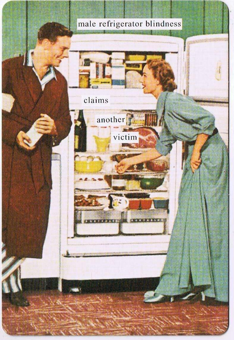 Anne Taintor Comic Postcard Male Refrigerator Blindness Claims Another