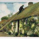 Postcard The Thatcher Irish Cottage