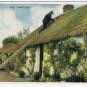 Postcard The Thatcher Irish Cottage