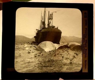 Magic Lantern Glass Slide Floating Whaling Station Spitzenbergen Lapland 1870s