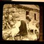 Magic Lantern Glass Slide Laplanders Milking Goats  Norway Keystone 1870s