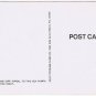 Postcard Risque Sun Sand Surf Appeal To Sea Numph On Florida Coast Woman Bikini