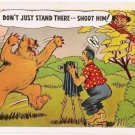Comic Postcard Bear Don't Just Stand There .. Shoot Him PECO