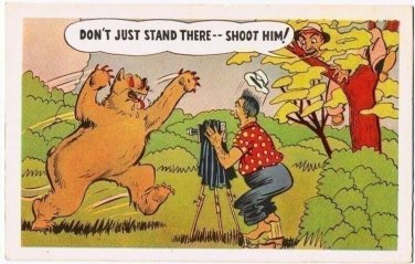 Comic Postcard Bear Don't Just Stand There .. Shoot Him PECO