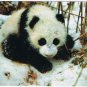 Postcard Giant Panda Snow China