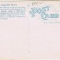 Postcard Cold River Canyon Mohawk Trail Through Berkshire Hills Massachusetts