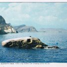 Postcard The Stone Elephant's Head Taiwan