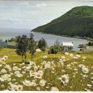 Quebec Postcard Seaside Community Daisies