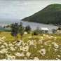 Quebec Postcard Seaside Community Daisies