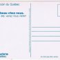 Quebec Postcard Seaside Community Daisies