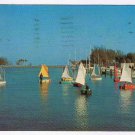 Postcard Prams Sailing At Sunshine Boat Club Basin St Petersburg Florida