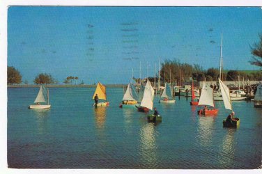 Postcard Prams Sailing At Sunshine Boat Club Basin St Petersburg Florida