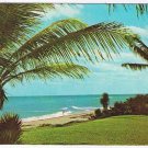 Florida Postcard Balmy Breezes Beach Palm Trees
