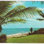 Florida Postcard Balmy Breezes Beach Palm Trees