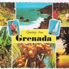 Grenada West Indies Caribbean Postcard Multi View Nutmeg Market Sunset
