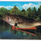 Comic Postcard Big Lie Big One Got Away Fish Canoe