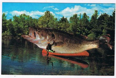 Comic Postcard Big Lie Big One Got Away Fish Canoe