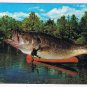 Comic Postcard Big Lie Big One Got Away Fish Canoe