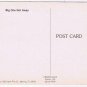 Comic Postcard Big Lie Big One Got Away Fish Canoe