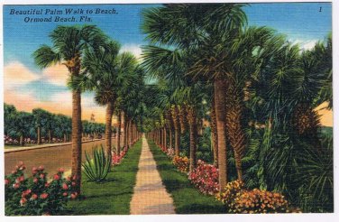 Florida Postcard Ormand Beach Palm Walk