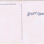 Florida Postcard Ormand Beach Palm Walk