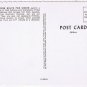 Postcard Bull Moose Bolts For Shore Northern Rockies Montana
