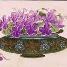 Flower Postcard Embossed African Violets In Bowl