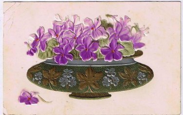 Flower Postcard Embossed African Violets In Bowl