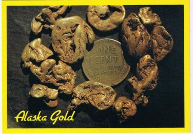 Alaska Postcard Alaska Gold