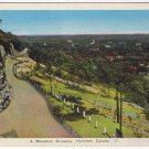 Ontario Postcard Hamilton A Mountain Driveway