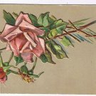 Greeting Postcard Embossed Pink Roses