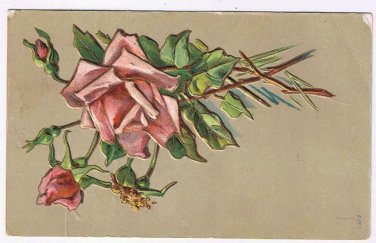 Greeting Postcard Embossed Pink Roses