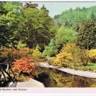 United Kingdom UK Postcard Scotland Younger Botanical Gardens Near Dunoon