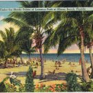 Postcard Under The Shady Palms Of Lummus Park Miami Beach Florida